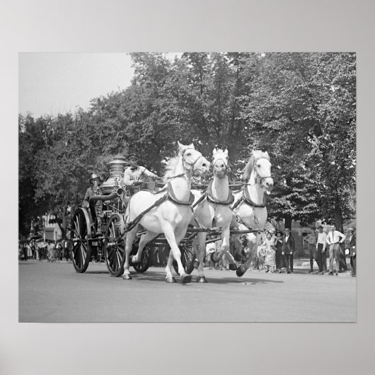 消防馬、1925年。ヴィンテージ写真 ポスター (正面)