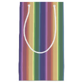消音したレインボーストライプー スモールペーパーバッグ (正面)