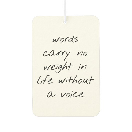 消音剤を使わずに カーエアーフレッシュナー (正面)