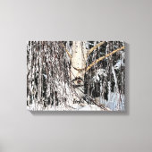 涙ぐんだ樺の木アイオブホルス キャンバスプリント (正面)