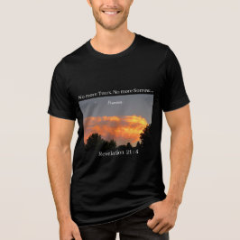 涙も悲しみもこれ以上は無い ステンVGのTシャツ トライブレンドＴシャツ