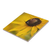 涙を持つ黒目のスーザン タイル (側面)