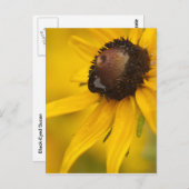 涙を流す黒目のスーザン ポストカード (正面/裏面)