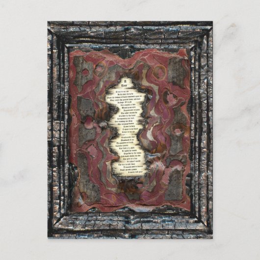 涙 ポストカード (正面)