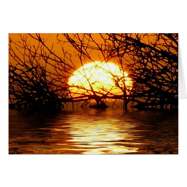 液体の日没カード (正面横)