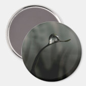 液滴 マグネット (正面/裏面)