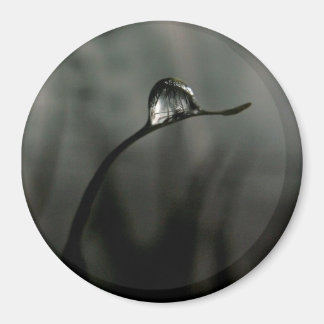 液滴 マグネット