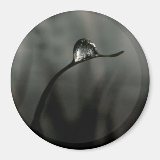 液滴 マグネット (正面)