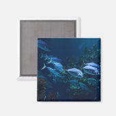 涼しい水槽の魚 暗い水 マグネット (正面/裏面)