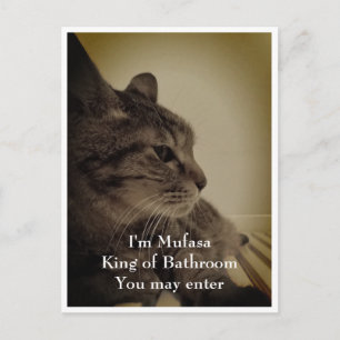 涼しくて面白いトイレのウェルカム ポストカード