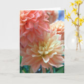 淡いオレンジ色のダリア2 カード (黄色い花)