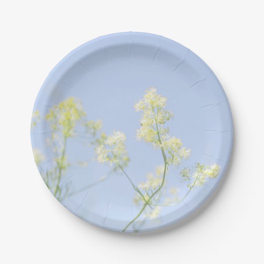 淡いパステルブルーの空の野生の花の草原 ペーパープレート (正面)