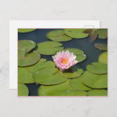 淡いピンクと黄色の葉書 ポストカード (正面/裏面)