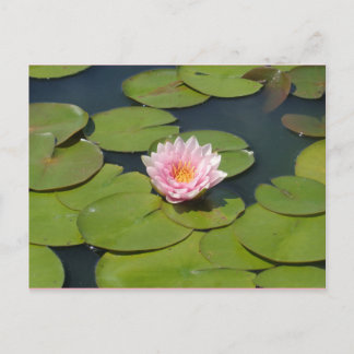 淡いピンクと黄色の葉書 ポストカード