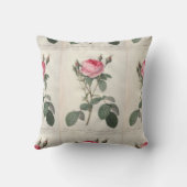 淡いピンクにヴィンテージのバラの絵を描くこと クッション (裏面)