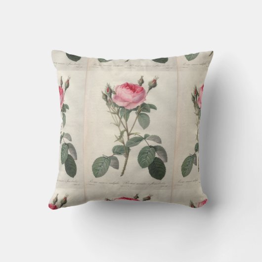 淡いピンクにヴィンテージのバラの絵を描くこと クッション (裏面)