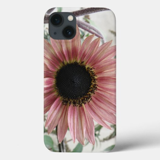 淡いピンクのひまわり Case-Mate iPhoneケース (裏面)