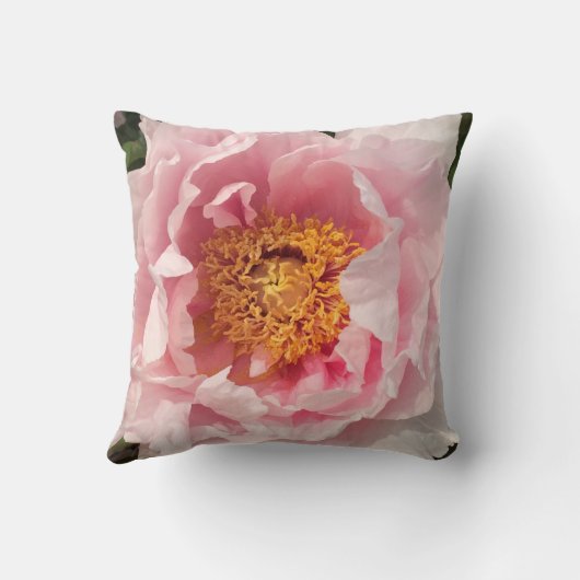 淡いピンクのシャクヤクの枕 クッション (裏面)