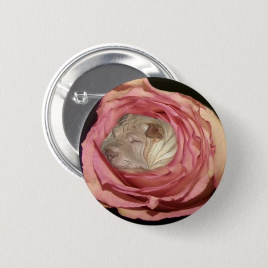 淡いピンクのバラで眠ります、中国人のShar Pei犬 缶バッジ (正面&裏面)