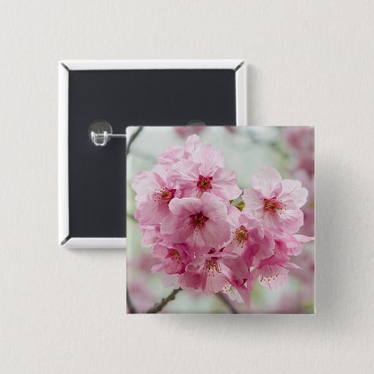 淡いピンクの桜の花 日本の伝統的な花 缶バッジ (正面&裏面)