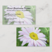 淡いピンクの色彩の鮮やかなデイジー 名刺 (正面/裏面)