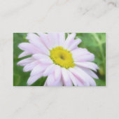 淡いピンクの色彩の鮮やかなデイジー 名刺 (裏面)