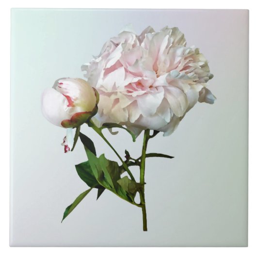 淡いピンクの芍薬とつぼみ タイル (正面)