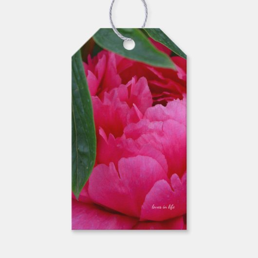 淡いピンクの芍薬 ギフトタグ (正面)