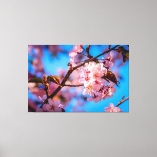 淡いピンクの花を咲かせた桜の木 キャンバスプリント