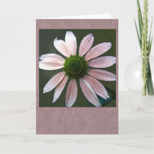 淡いピンクのechinacea カード (正面)