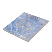 淡いブルーの張りめぐらされた灰色の大理石 タイル (側面)