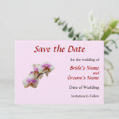 淡いマゼンタと白の蘭 Save The Date セーブザデート (スタンド正面)