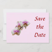 淡いマゼンタと白の蘭 Save The Date セーブザデート (裏面)