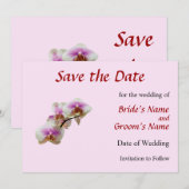 淡いマゼンタと白の蘭 Save The Date セーブザデート (正面/裏面)