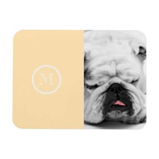 淡い桃ハイエンドカラー マグネット (横)