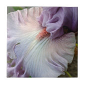 淡い紫色のアイリス 花 タイル (正面)