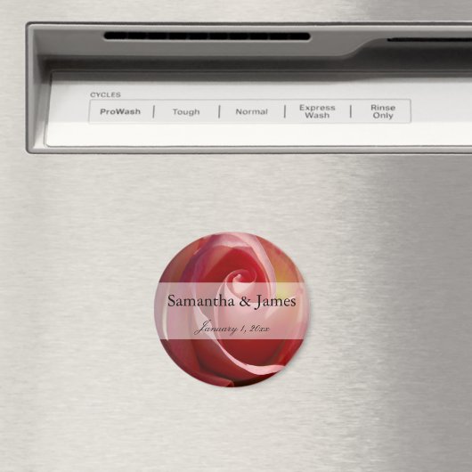 淡い色のな月は上がりました マグネット (インサイチュ (食洗機))