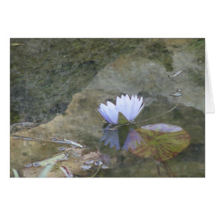 淡い色のなlavenday 《植物》スイレンカード