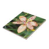 淡い色のオレンジスポッテッドブラックベリーリリー タイル (側面)