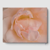 淡い色のピンクのバラの花お祝い記念碑 ゲストブック (裏面)