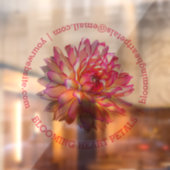 淡い色のピンクジャイアントダリア連絡店頭 ウィンドウサイン (シート2)