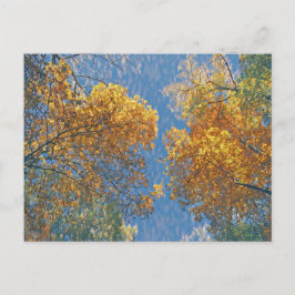 淡い色の秋 ポストカード