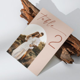 淡い色の赤面ス結婚クリプト | アーチエレガントト テーブルナンバー