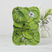 淡い色の=ラベンダーの蓮の花とユリのパッド (スタンド正面)