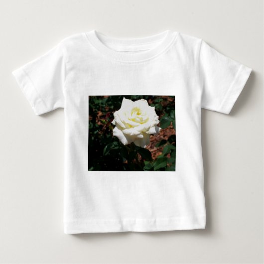 淡い黄色のバラ ベビーTシャツ (正面)