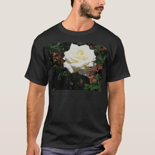 淡い黄色のバラ Tシャツ (正面)
