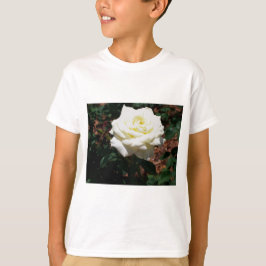 淡い黄色のバラ Tシャツ