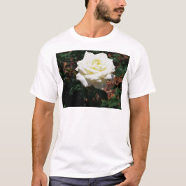 淡い黄色のバラ Tシャツ
