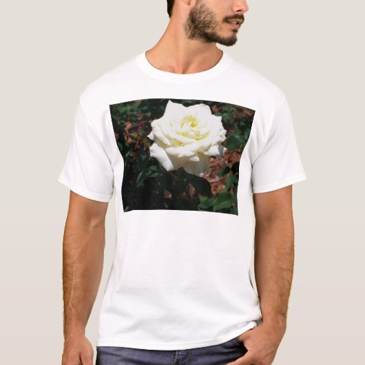 淡い黄色のバラ Tシャツ (正面)
