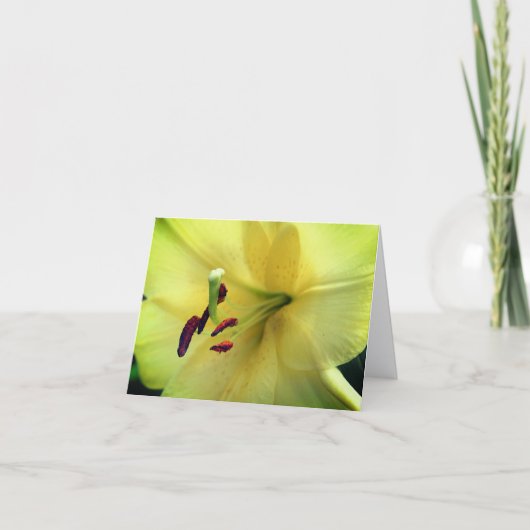 淡い黄色のユリの花の写真 ノートカード (正面)